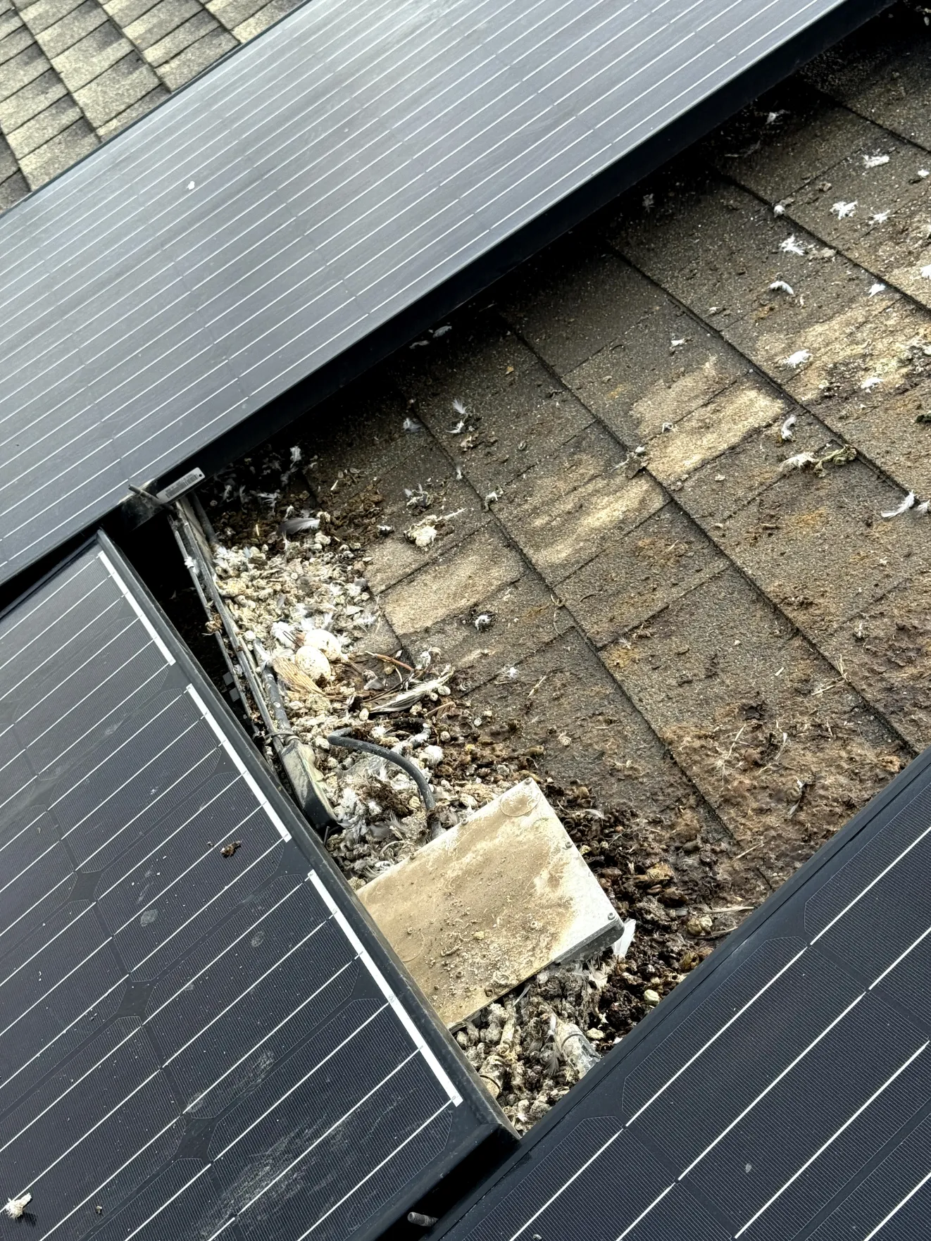 The Essential Guide to Solar Panel Maintenance: Why Regular Cleaning and Check-Ups Matter