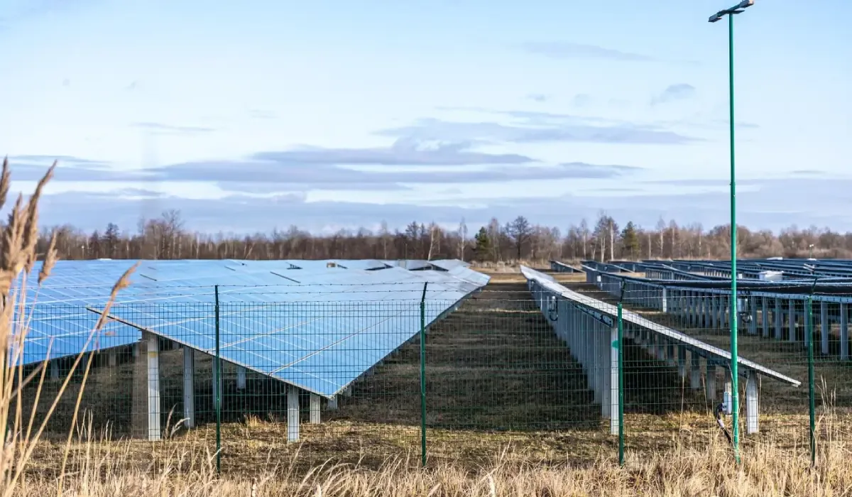 How to Set Up Lead Acid Battery with Solar Panels?