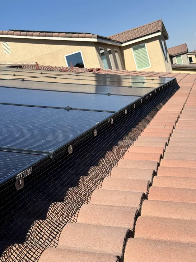 Solar panels protected with bird proofing mesh