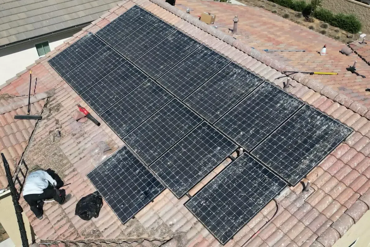 How to Keep Birds Away from Solar Panels? Bird Deterrent Solutions