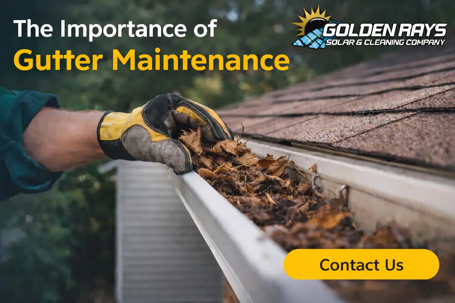The Importance of Regular Gutter Maintenance