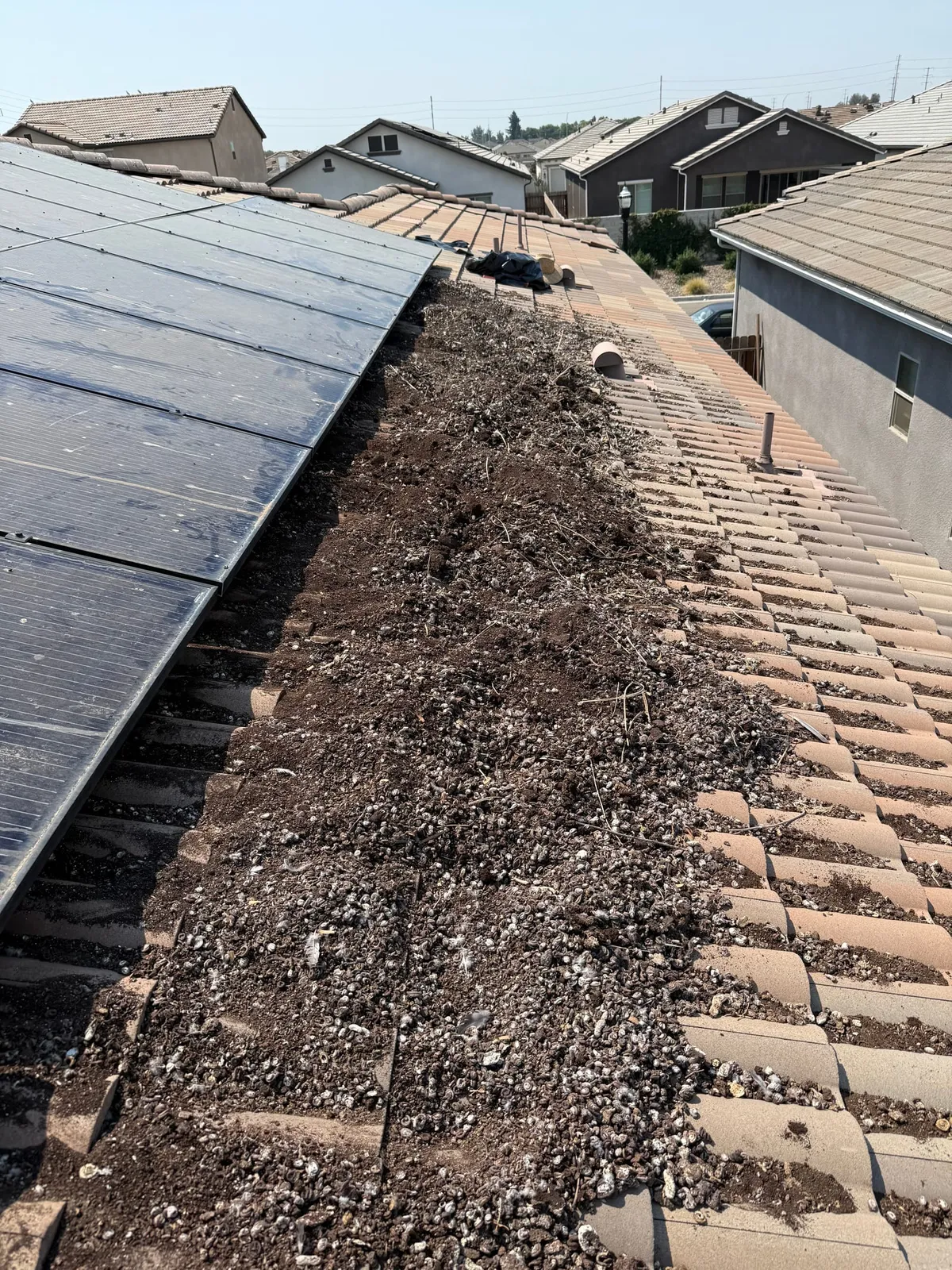 Golden Rays Solar Cleaning Company